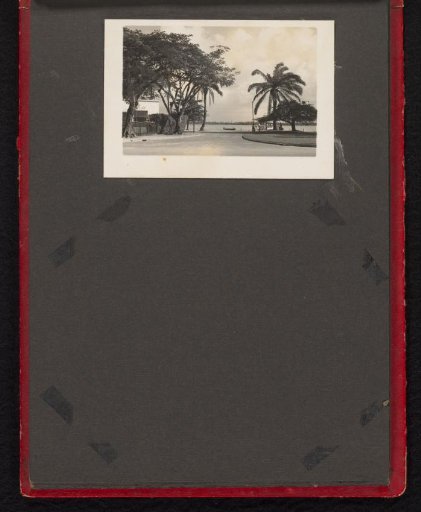 Street with palm trees