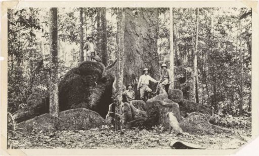 Hunting party by a tree on plantation Accaribo