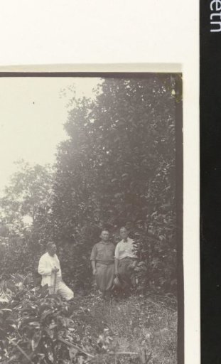 Three Men on the Accaribo Plantation
