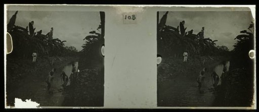 Workers on Plantage Accaribo with Theodoor Brouwers at the side