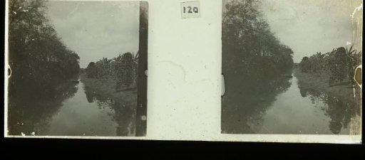 Vaartrens on Plantage Accaribo