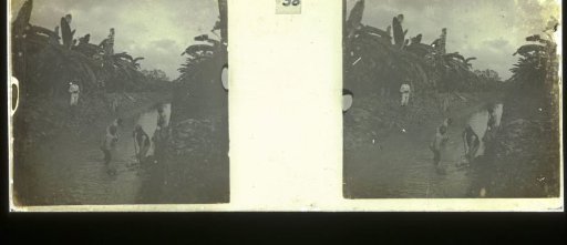 Laborers at Plantage Accaribo