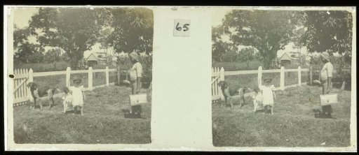 Postman at Plantage Accaribo