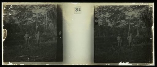 Plantage Accaribo