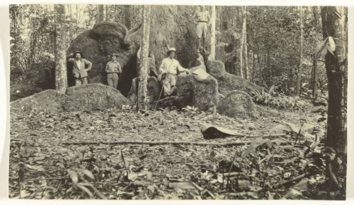 Group portrait near a lightning strike on Accaribo plantation in Suriname