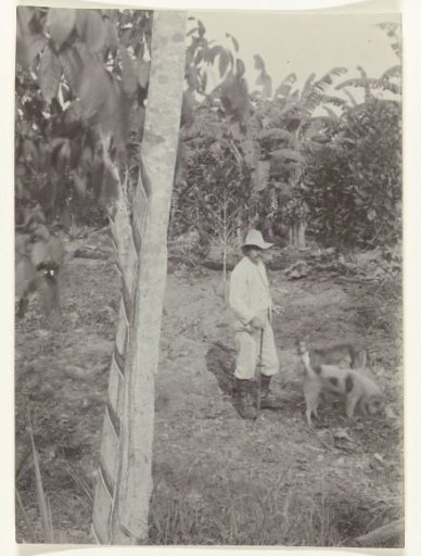 Plantation owner with dogs on Accaribo plantation in Suriname
