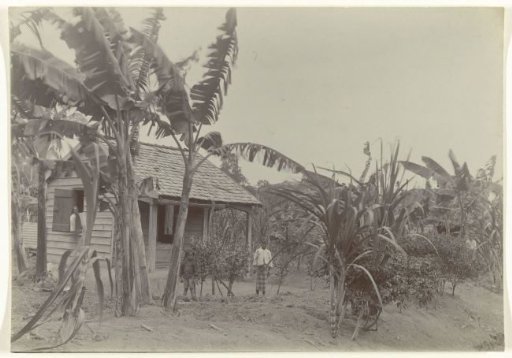 Workers' Dwelling with Workers on the Johanna-Catherina Plantation in Suriname