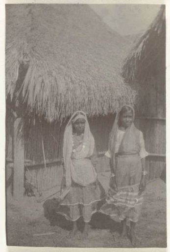 Hindustani and Javanese contract laborers on Accaribo plantation