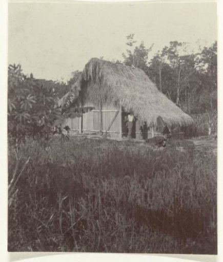 Hindustani and Javanese contract laborers on Accaribo plantation