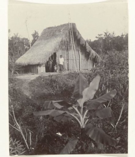 Hindustani and Javanese contract laborers on Accaribo plantation