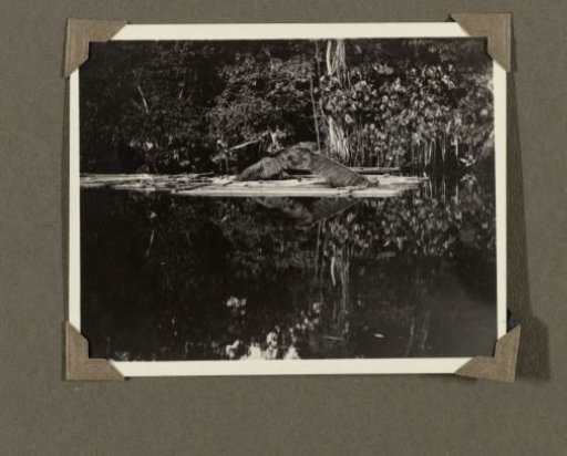 Raft on a River in Suriname