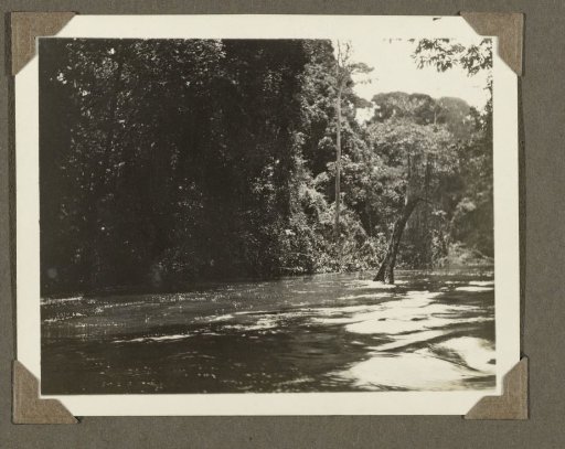 River in Suriname