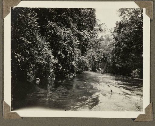 River in Suriname
