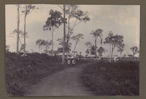 Road with dwellings at Moengo