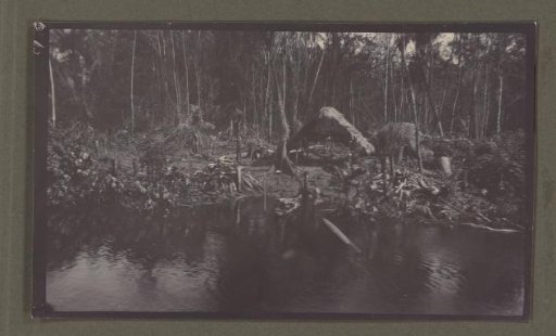 Huts on the bank of the Cottica River