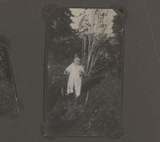 Family photograph of the Jetten children
