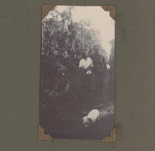 Man and woman with a dog on a forest path