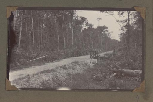Road with a bridge through the forest