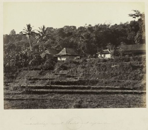 Landscape near Gadok with Rice Fields