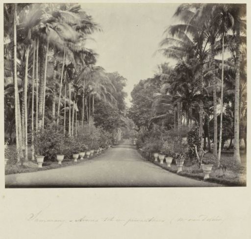 Semarang - Avenue to a Private Residence (Mr. van Delden)