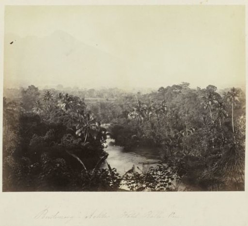 Buitenzorg - Rear of Hotel Belle-Vue