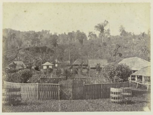 Houses with Extensive Gardens