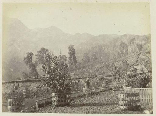 Path with Baskets