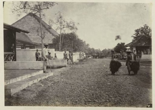 Village View