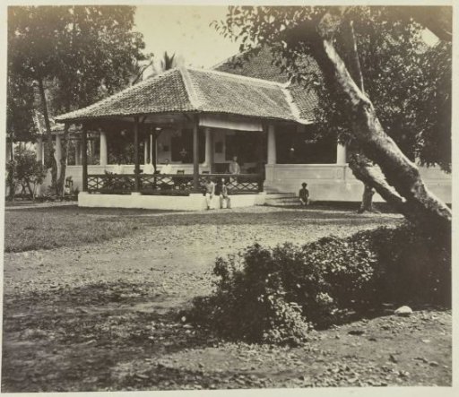 House and Staff