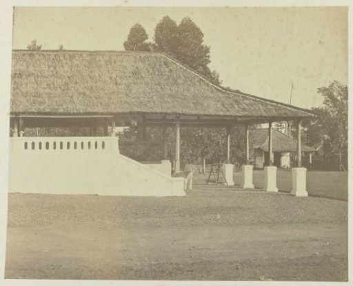 Extension