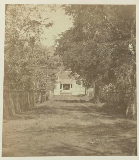 Road to a House