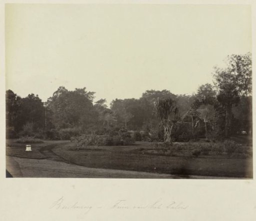 Buitenzorg - Garden of the Palace