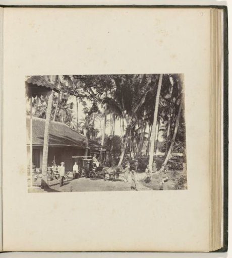 House under Palms