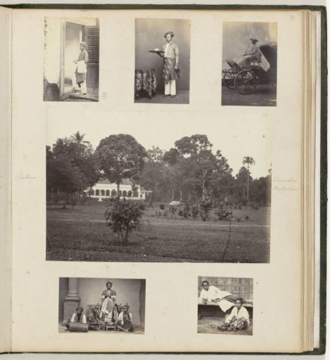 Zoo, Professions and Wajang Topeng