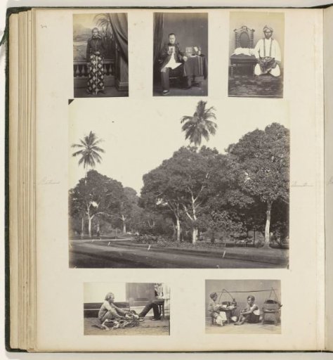 Zoo, Portraits and Professions