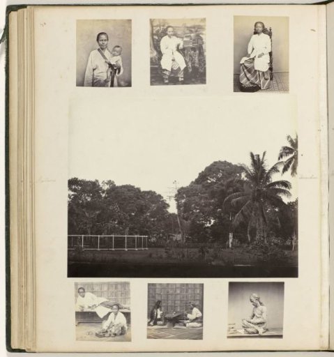 Menagerie and Portraits