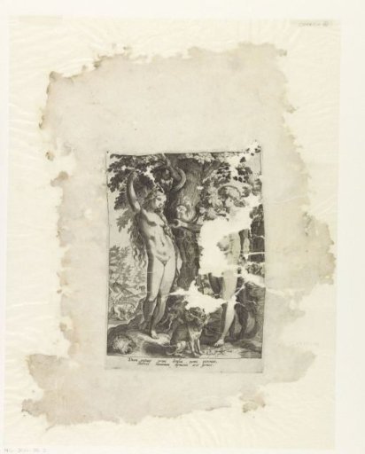 Adam and Eve