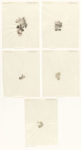 Loose fragments, possibly from a print of Acis and Galatea