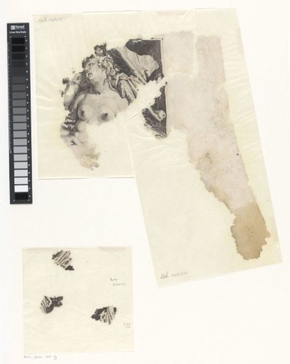 Loose fragments of a print of Acis and Galatea