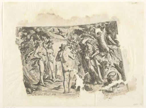 Judgment of Paris