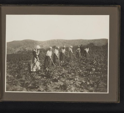 Women in the field