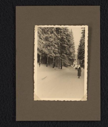 Winter Walk