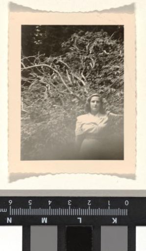 Isabel Wachenheimer