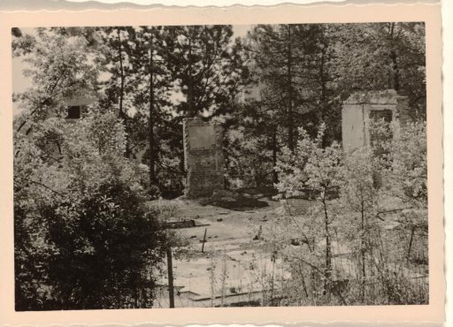 Part of a ruin, with sturdy vegetation of trees and bushes around it