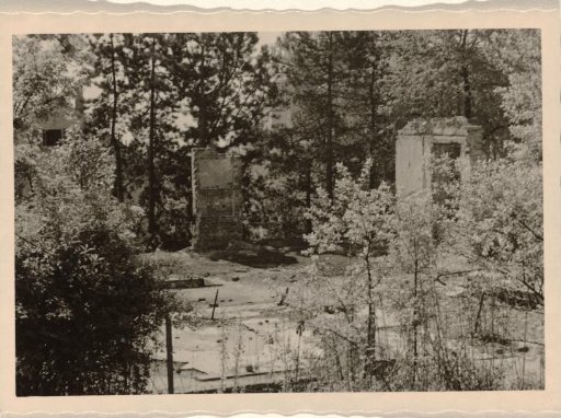Part of a ruin, with sturdy vegetation of trees and bushes around it