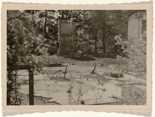 Part of a ruin, with sturdy vegetation of trees and bushes around it