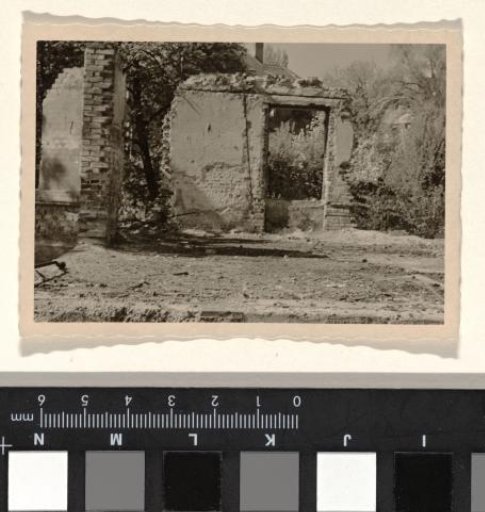 Part of a ruin, with a wall covered in vegetation with a doorway in it and bushes around it, with a piece of wall next to it on the left