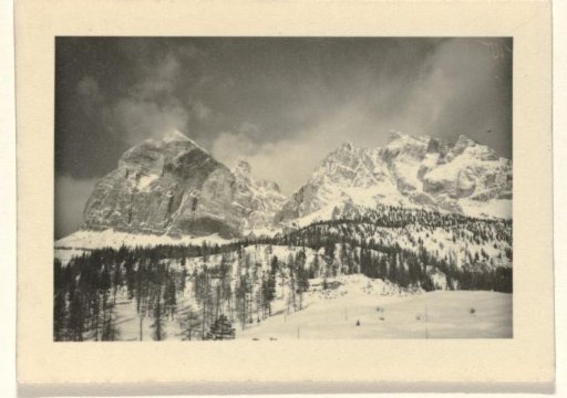 Snowy mountain landscape with trees in the foreground
