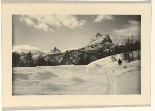 Snowy mountain landscape with trees and a snow-covered plain in the foreground
