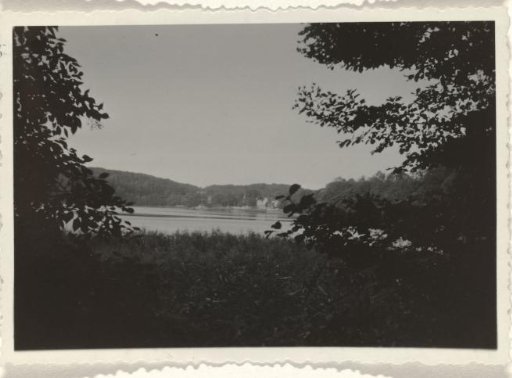 Lake surrounded by mountains and forest in the Swiss town of Holstein